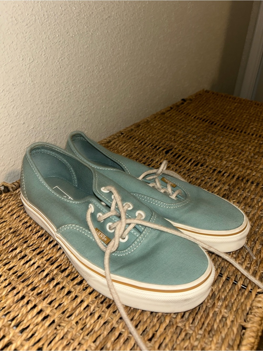 Vans Teal Canvas Low-Top Sneakers - Women’s